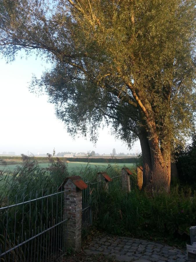 B&B Col Del Vino Вевельгем Экстерьер фото